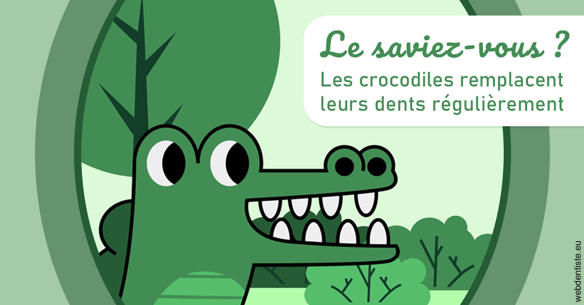 https://dr-sebbag-philippe.chirurgiens-dentistes.fr/Crocodiles 2