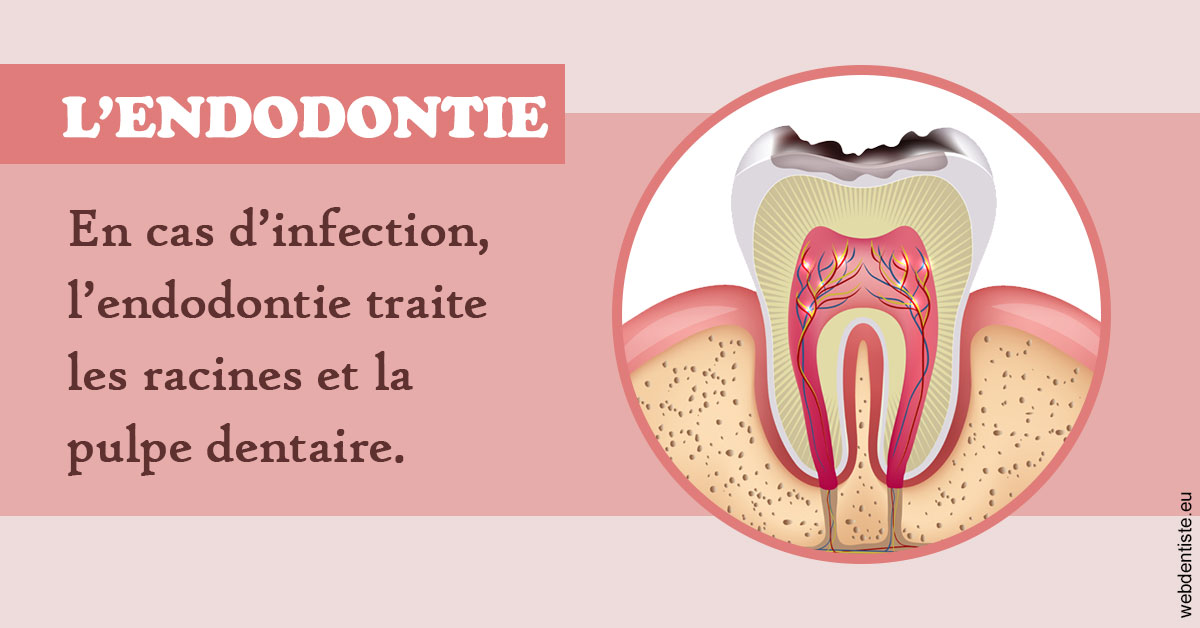 https://dr-sebbag-philippe.chirurgiens-dentistes.fr/L'endodontie 2